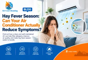 Hay fever season and AC allergen filtration